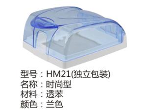 HM21(独立包装)时尚型兰色